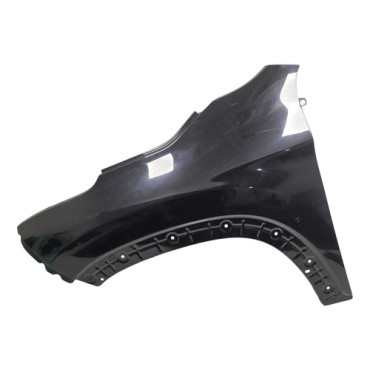 Paralama Esquerdo Fi...