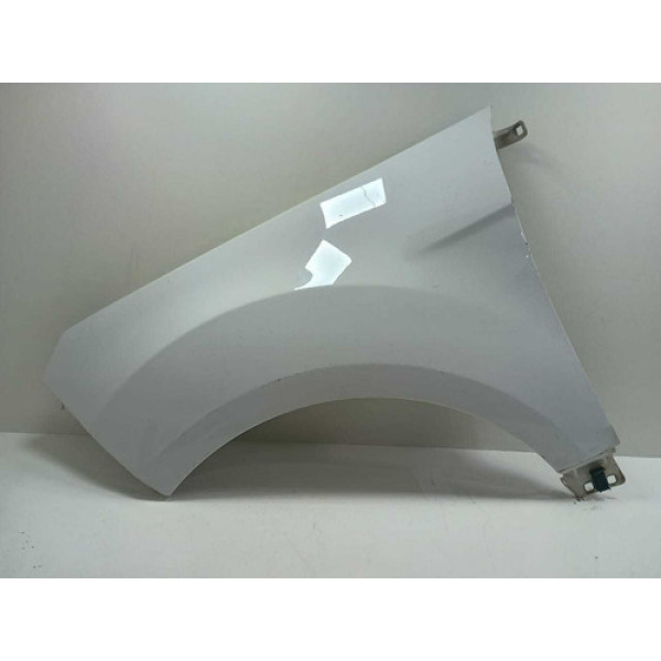 Paralama Esquerdo Ecosport 2013 2014 2015 2016 2017 A 2021