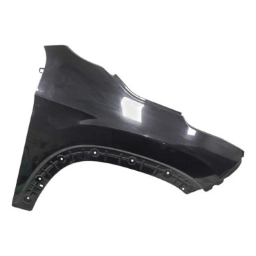 Paralama Direito Fia...