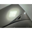 Paralama Dianteiro Esquerdo Ford Focus 2001 2002 2003 2008