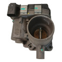 Corpo De Borboleta Tbi Uno Vivace 1.0 2012