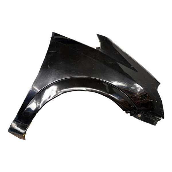 Paralama Dianteiro Meriva 2005 2006 2007 2008 2009 L/direito