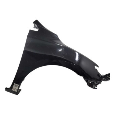 Paralama Direito Nis...